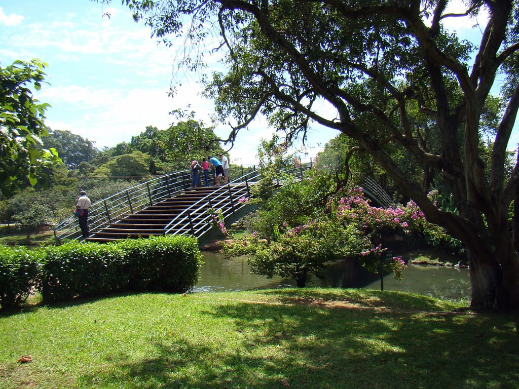 Vila Mariana - Parque Ibirapuera - Sao paulo Capital Portal Sampa