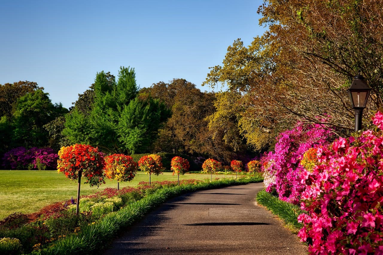 Jardim Botanico Sao Paulo Capital - Portal Sampa