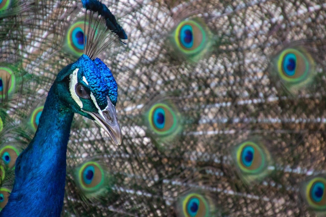 Educação Ambiental no Zoológico de São Paulo