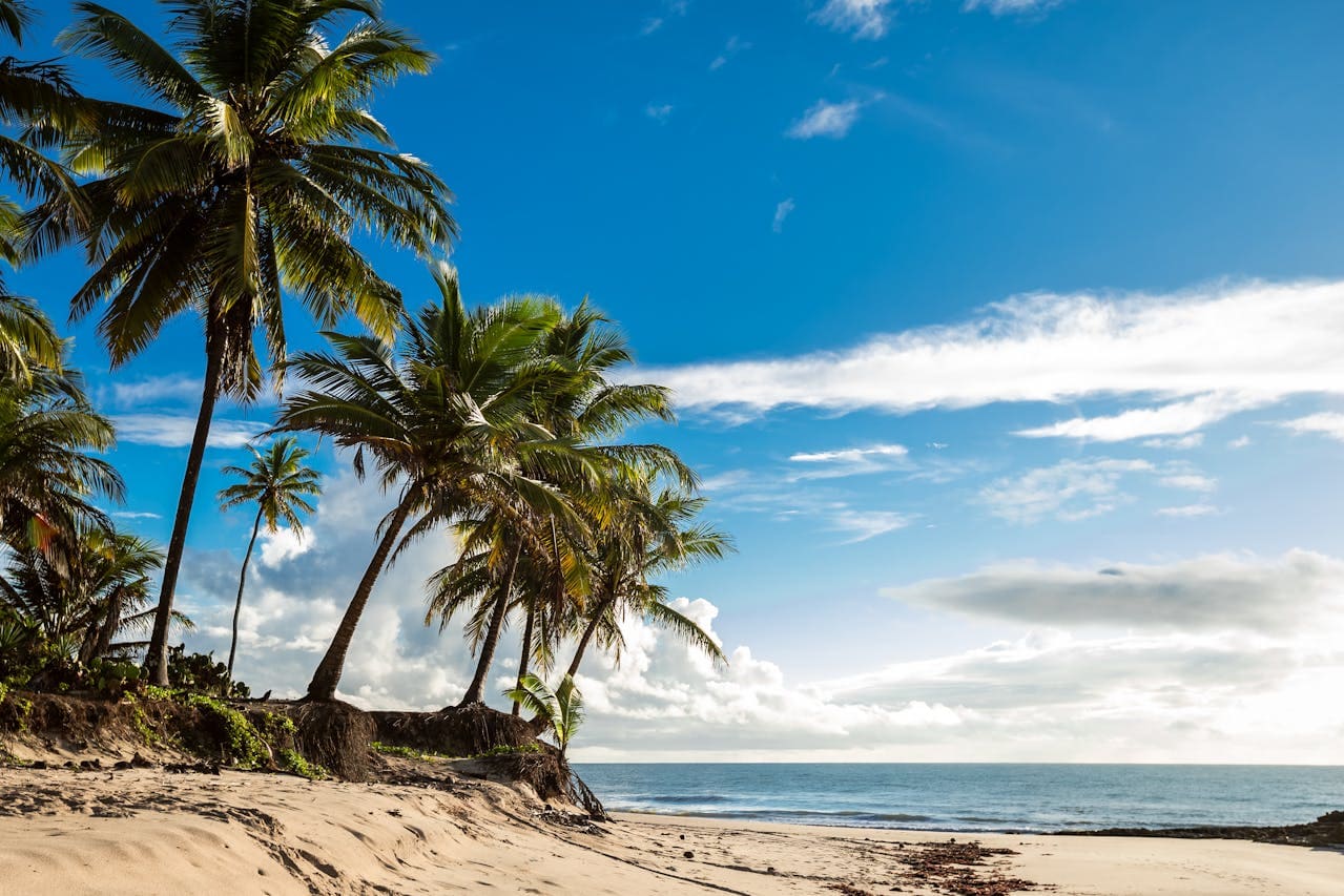 Praia da Enseada no Guarujá - Litoral Sul - Portal Sampa