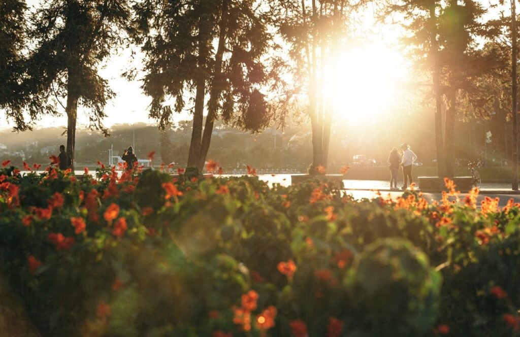Jardim Botanico de Sao Paulo - portalsampa.com.br