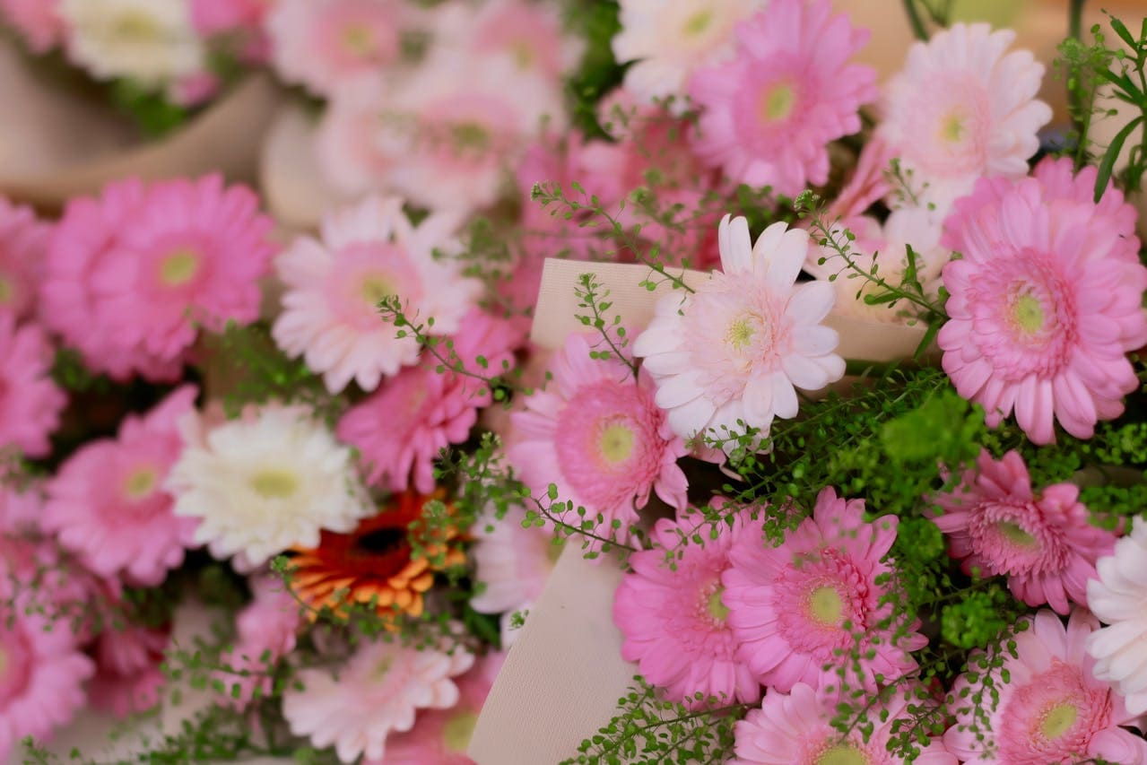 Algumas das Melhores Floriculturas de Pinheiros em São Paulo - www.portalsampa.com.br